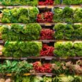 The Simon Abundance Index 2023